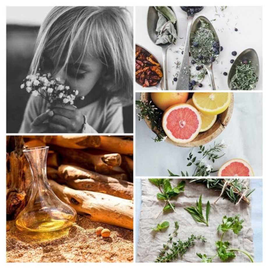 Can Fragrances Have Medicinal and Healing&nbsp;Qualities?